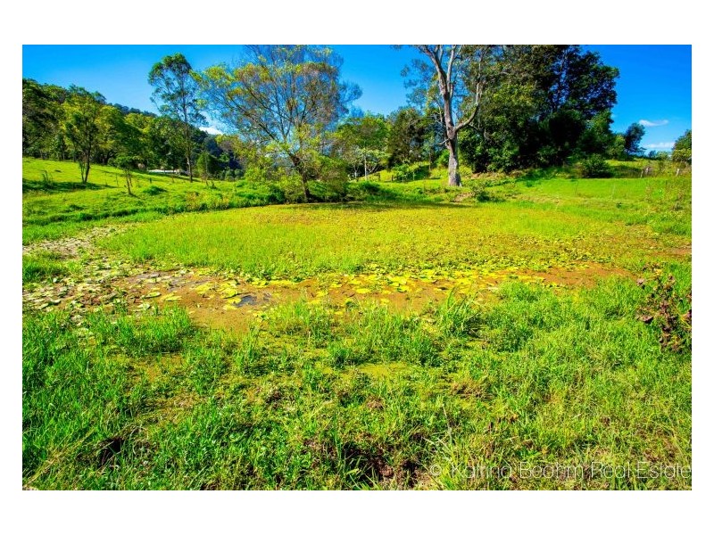 35 Town Road, The Channon NSW 2480