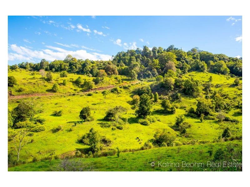 35 Town Road, The Channon NSW 2480