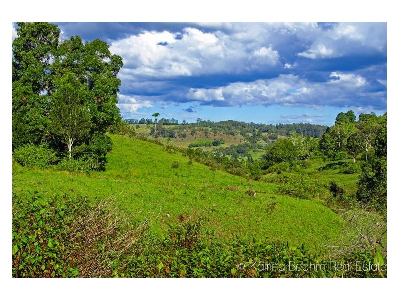 35 Town Road, The Channon NSW 2480