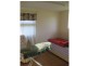 503 Lynchs Creek Road, Lynchs Creek NSW 2474