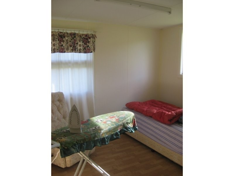 503 Lynchs Creek Road, Lynchs Creek NSW 2474