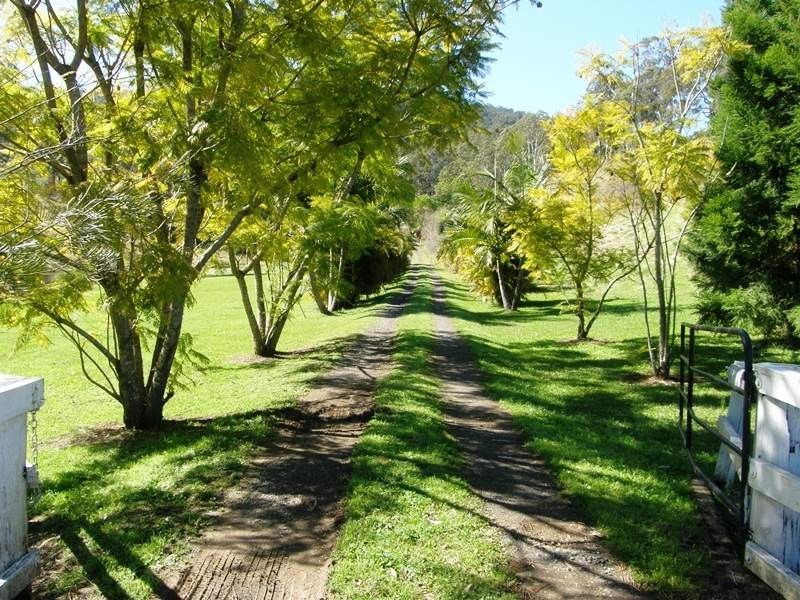 116 Boorabee Creek Road, Kyogle NSW 2474