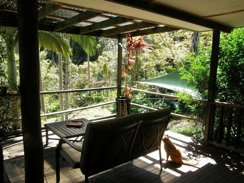 116 Boorabee Creek Road, Kyogle NSW 2474