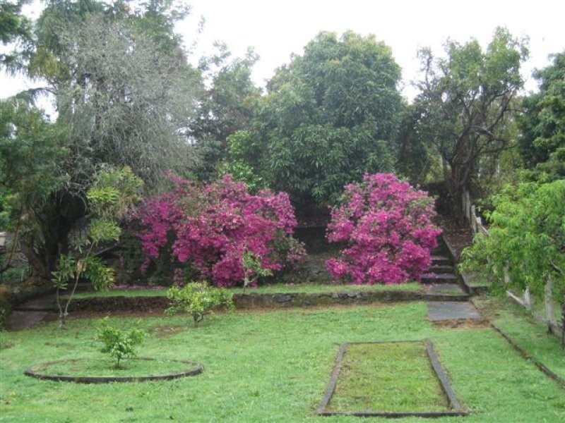 52 Kyogle Road, Kyogle NSW 2474