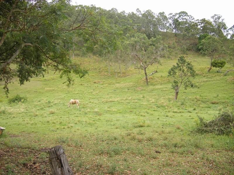 66 Omagh Road, Kyogle NSW 2474