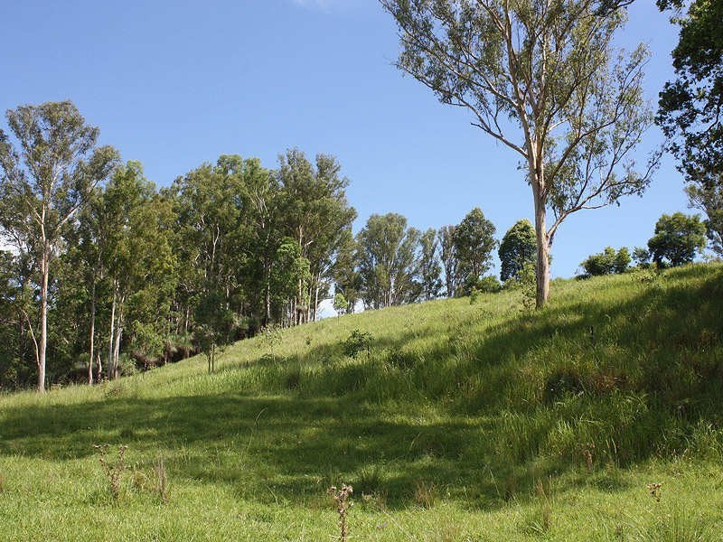 112 Homeleigh Road, Kyogle NSW 2474