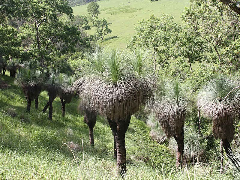 112 Homeleigh Road, Kyogle NSW 2474