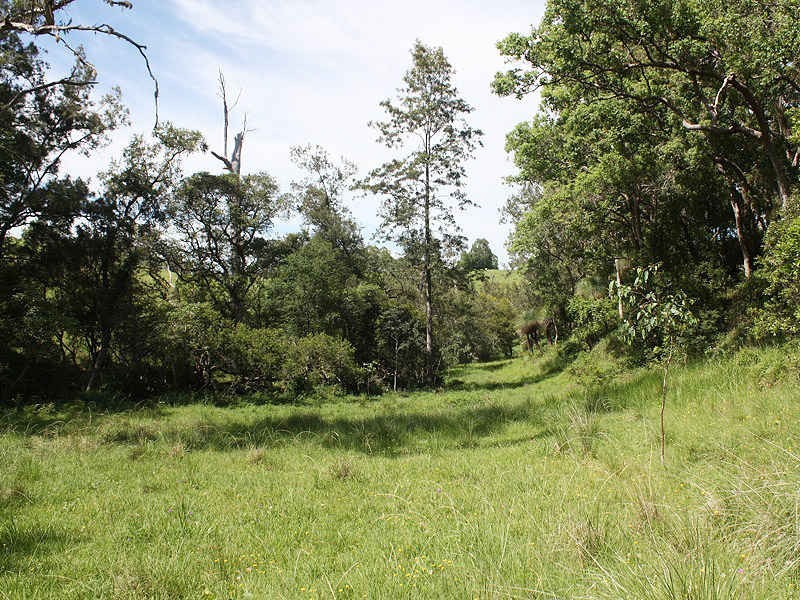 112 Homeleigh Road, Kyogle NSW 2474