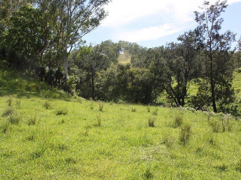 112 Homeleigh Road, Kyogle NSW 2474