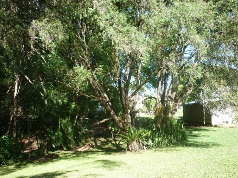 37 Kyogle Road, Kyogle NSW 2474