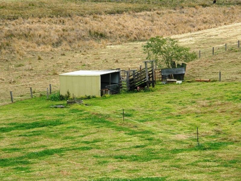 251 Collins Creek Road, Kyogle NSW 2474