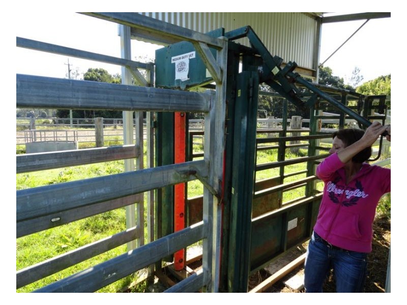 1061 Collins Creek Road, Kyogle NSW 2474