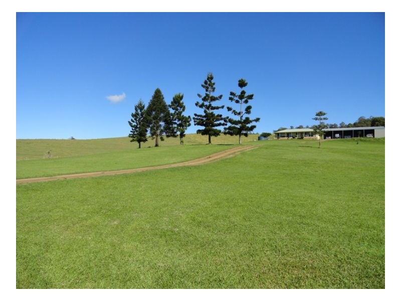 1061 Collins Creek Road, Kyogle NSW 2474