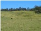 1061 Collins Creek Road, Kyogle NSW 2474