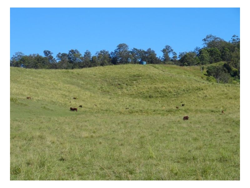 1061 Collins Creek Road, Kyogle NSW 2474