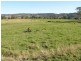 Homestead Road, Kyogle NSW 2474