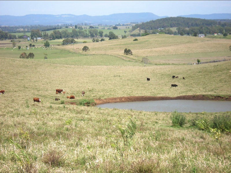 Baraimal Lane, Kyogle NSW 2474