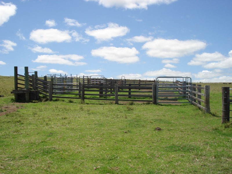 Baraimal Lane, Kyogle NSW 2474