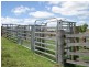 Baraimal Lane, Kyogle NSW 2474