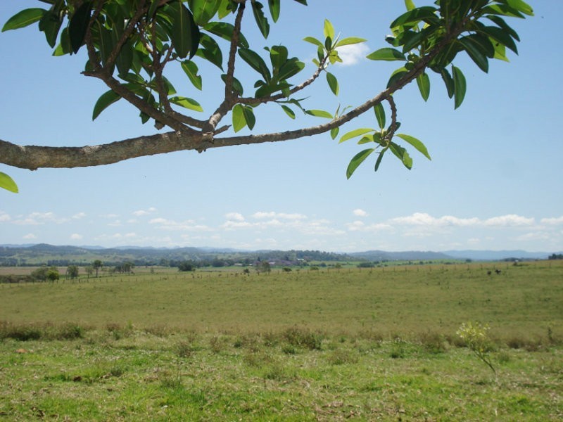 Baraimal Lane, Kyogle NSW 2474