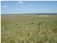 Baraimal Lane, Kyogle NSW 2474