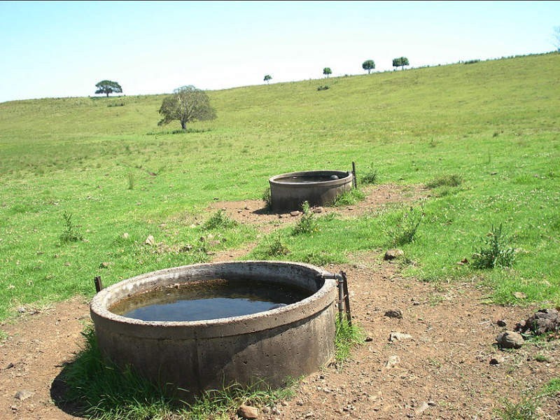 Baraimal Lane, Kyogle NSW 2474