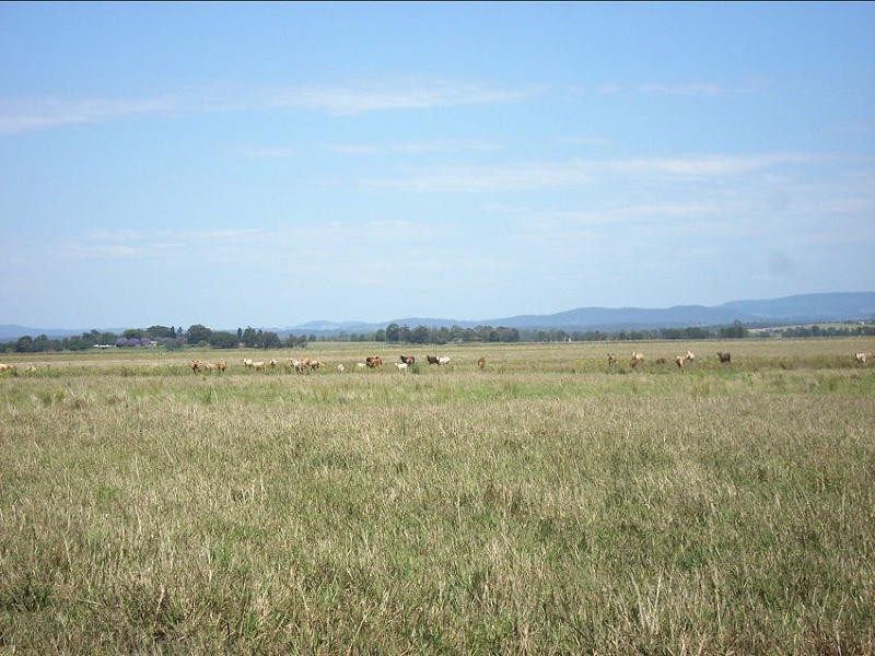 Baraimal Lane, Kyogle NSW 2474