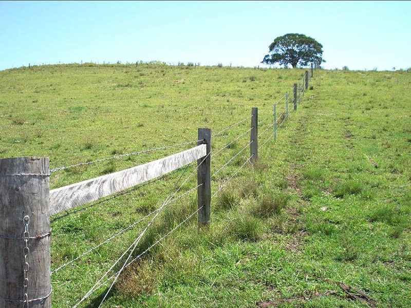 Baraimal Lane, Kyogle NSW 2474