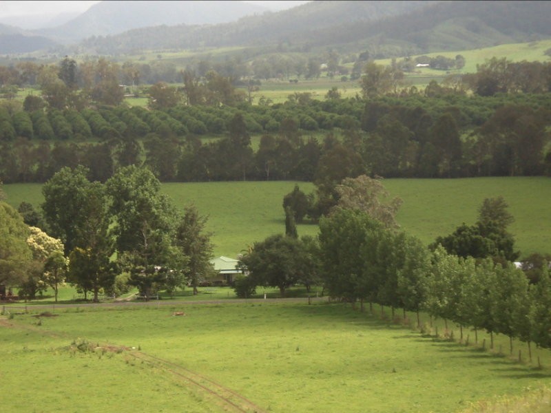 Wiangaree Road, Kyogle NSW 2474