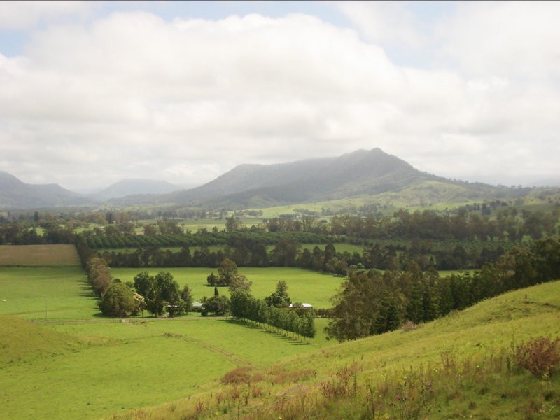 Wiangaree Road, Kyogle NSW 2474