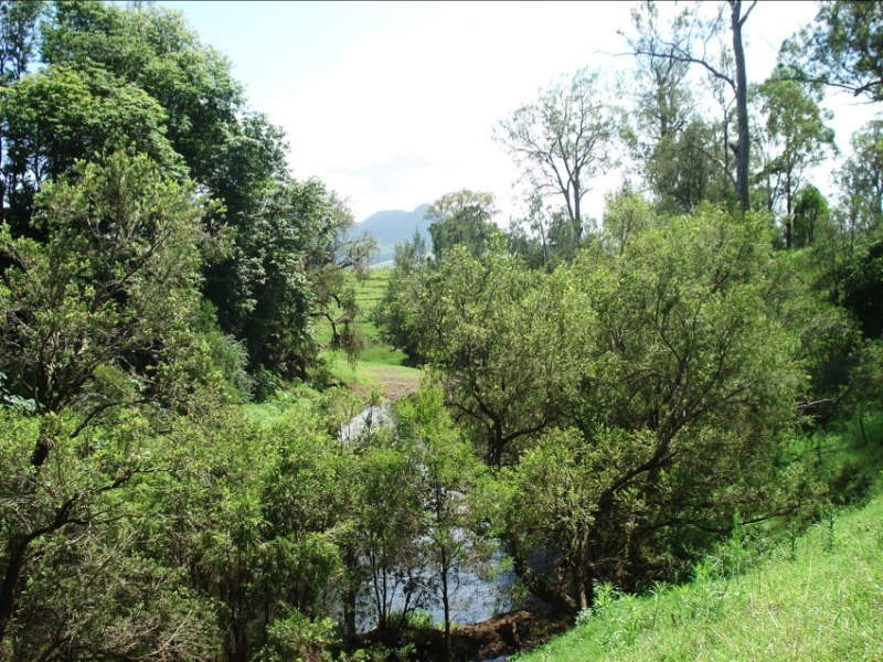 Wiangaree Road, Kyogle NSW 2474