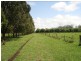 Wiangaree Road, Kyogle NSW 2474