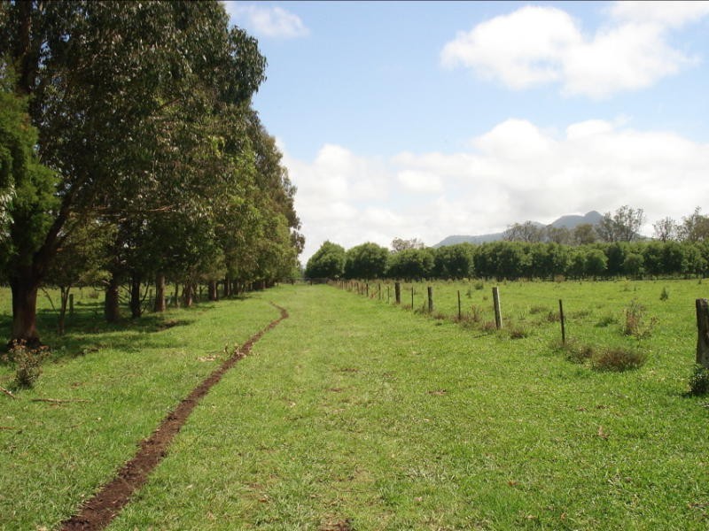 Wiangaree Road, Kyogle NSW 2474