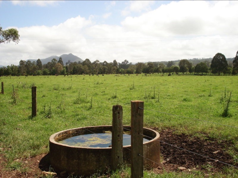 Wiangaree Road, Kyogle NSW 2474