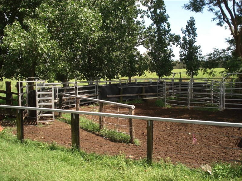 Wiangaree Road, Kyogle NSW 2474