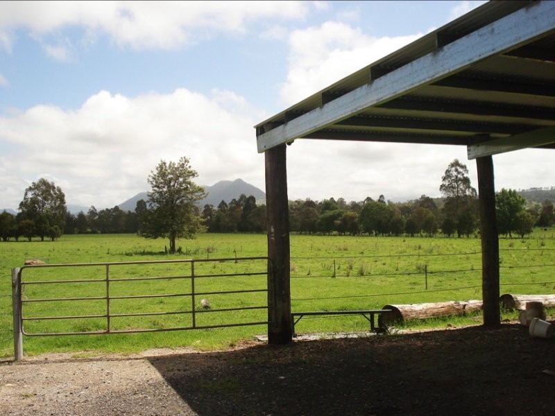 Wiangaree Road, Kyogle NSW 2474