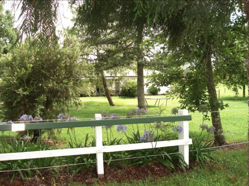 Wiangaree Road, Kyogle NSW 2474