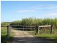 Hoare Lane, Green Forest NSW 2471