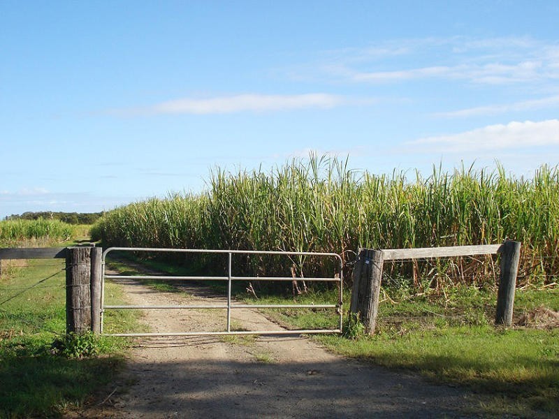 Hoare Lane, Green Forest NSW 2471