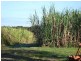 Hoare Lane, Green Forest NSW 2471
