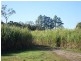 Hoare Lane, Green Forest NSW 2471
