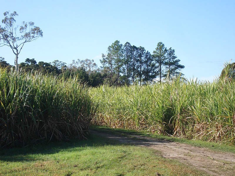 Hoare Lane, Green Forest NSW 2471