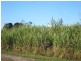 Hoare Lane, Green Forest NSW 2471