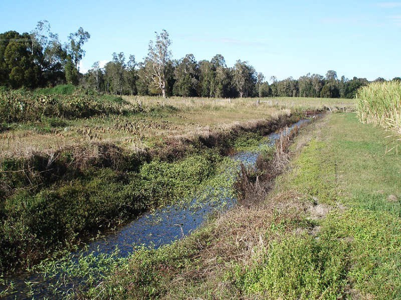 Hoare Lane, Green Forest NSW 2471