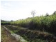 Hoare Lane, Green Forest NSW 2471
