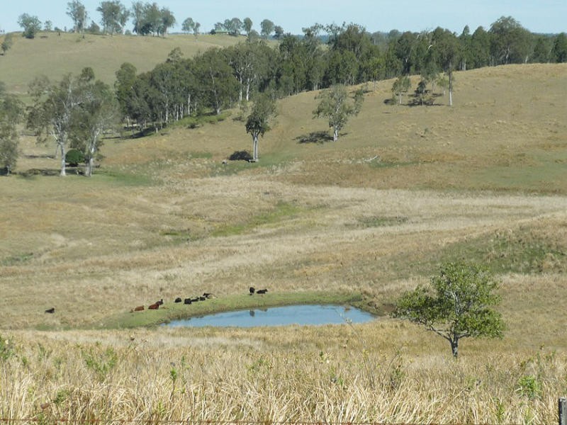 Old Dyraaba Road, Woodview NSW 2470