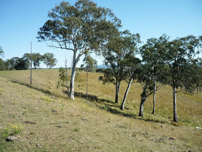 Old Dyraaba Road, Woodview NSW 2470