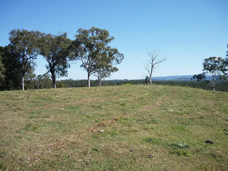 Old Dyraaba Road, Woodview NSW 2470