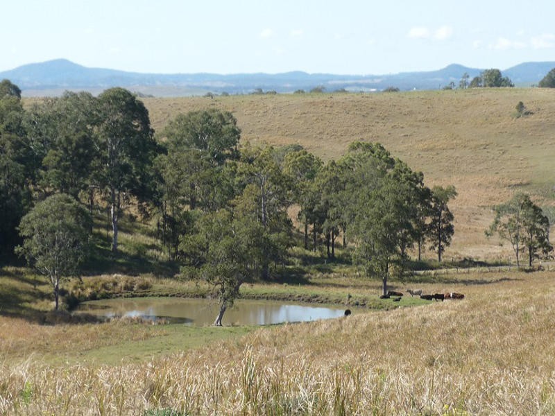 Old Dyraaba Road, Woodview NSW 2470