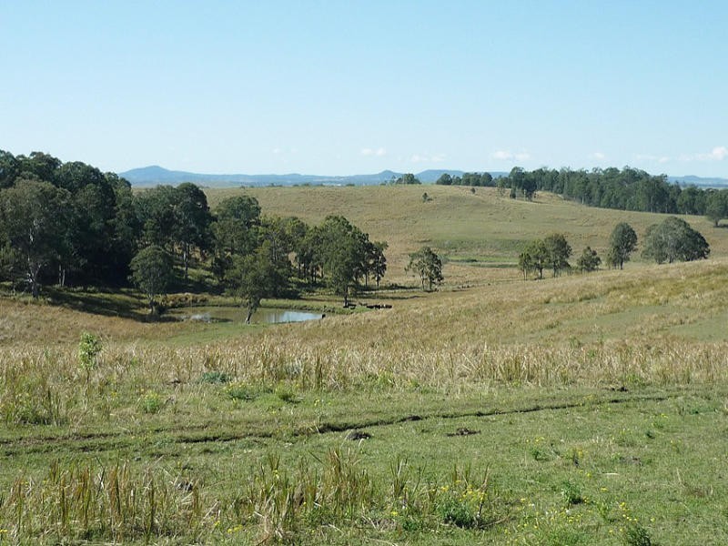 Old Dyraaba Road, Woodview NSW 2470